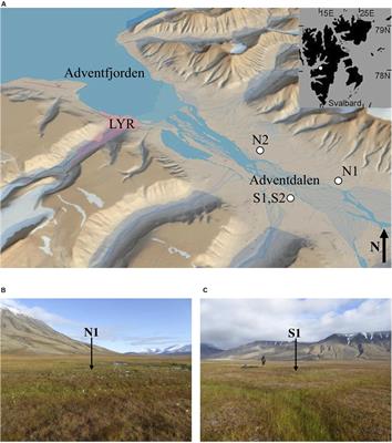 Biogeochemical Processes in the Active Layer and Permafrost of a High Arctic Fjord Valley